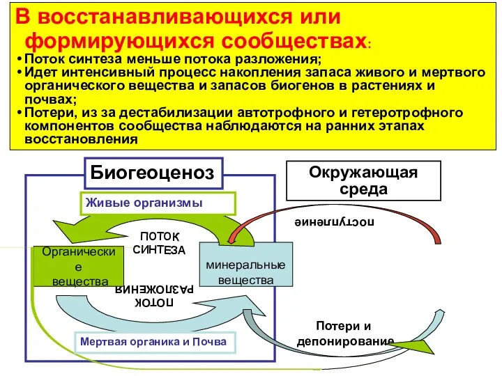 Круговороты (потоки) веществ ПОТОК РАЗЛОЖЕНИЯ минеральные вещества Органические вещества ПОТОК