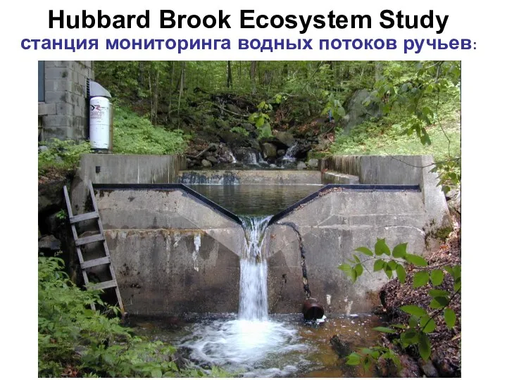 Hubbard Brook Ecosystem Study станция мониторинга водных потоков ручьев: