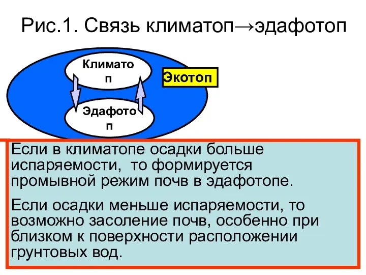 Рис.1. Cвязь климатоп→эдафотоп Климатоп Эдафотоп Экотоп Если в климатопе осадки