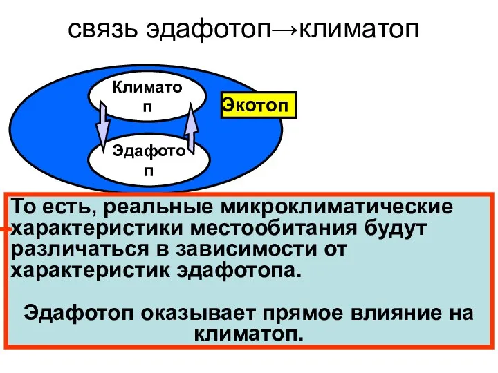 связь эдафотоп→климатоп Климатоп Эдафотоп Экотоп То есть, реальные микроклиматические характеристики