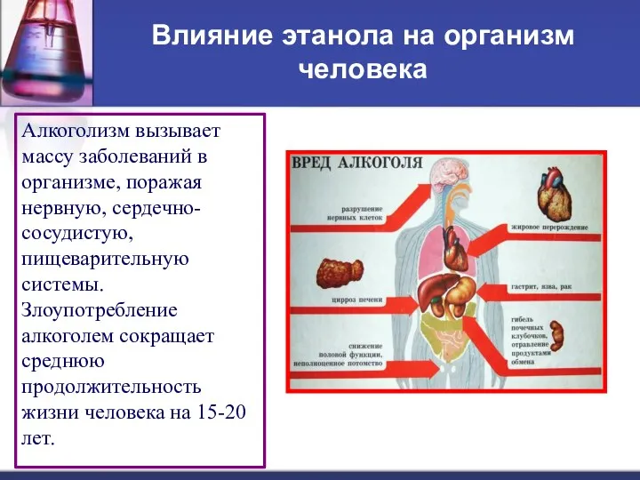 Влияние этанола на организм человека Алкоголизм вызывает массу заболеваний в