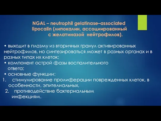 NGAL – neutrophil gelatinase–associated lipocalin (липокалин, ассоциированный с желатиназой нейтрофилов). • выходит в