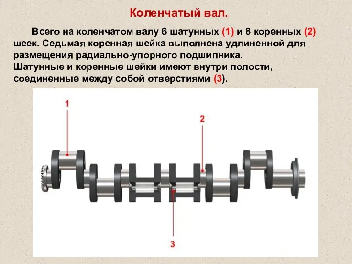 Коленчатый вал. Всего на коленчатом валу 6 шатунных (1) и