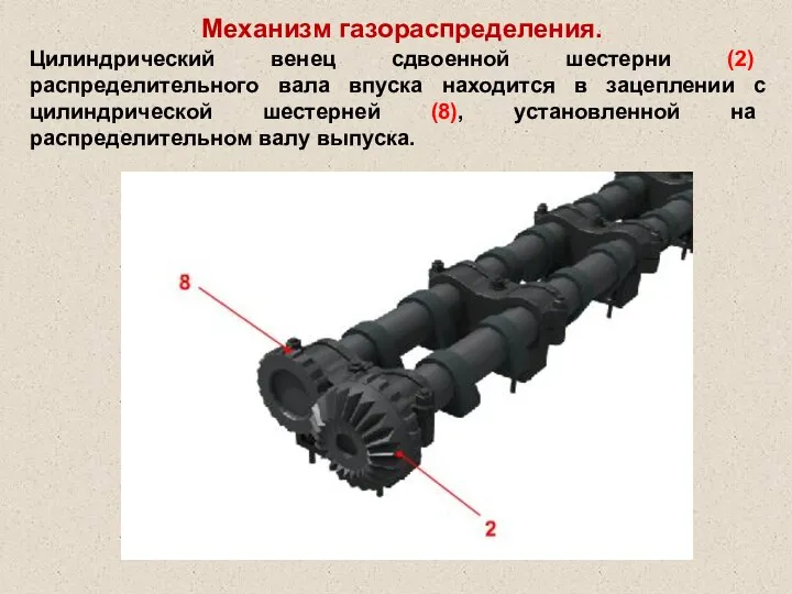 Механизм газораспределения. Цилиндрический венец сдвоенной шестерни (2) распределительного вала впуска