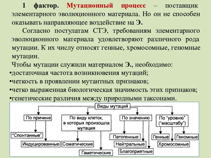 1 фактор. Мутационный процесс – поставщик элементарного эволюционного материала. Но