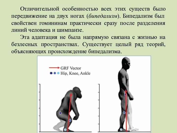 Отличительной особенностью всех этих существ было передвижение на двух ногах