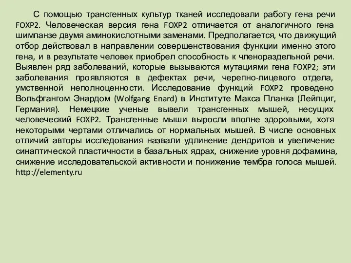 С помощью трансгенных культур тканей исследовали работу гена речи FOXP2.