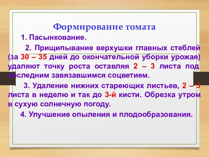 Формирование томата 1. Пасынкование. 2. Прищипывание верхушки главных стеблей (за