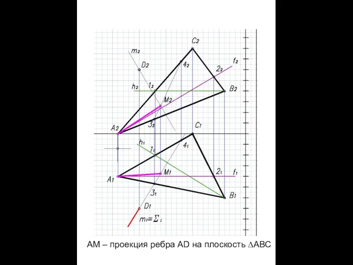 АМ – проекция ребра AD на плоскость ∆АВС