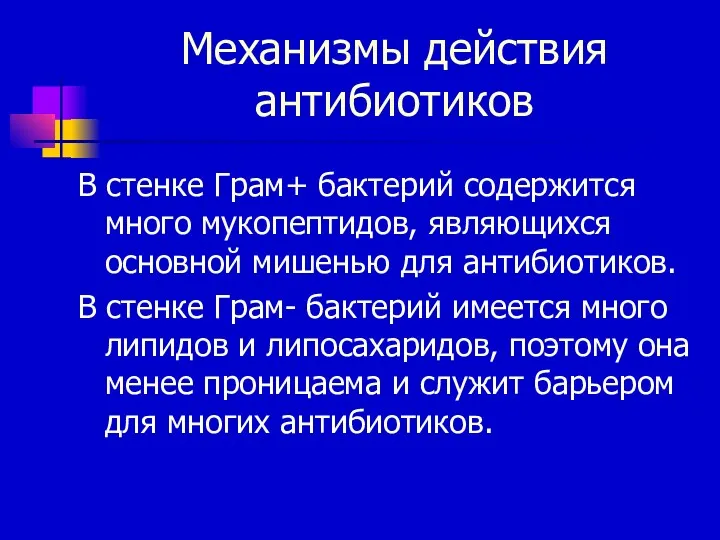 Механизмы действия антибиотиков В стенке Грам+ бактерий содержится много мукопептидов,