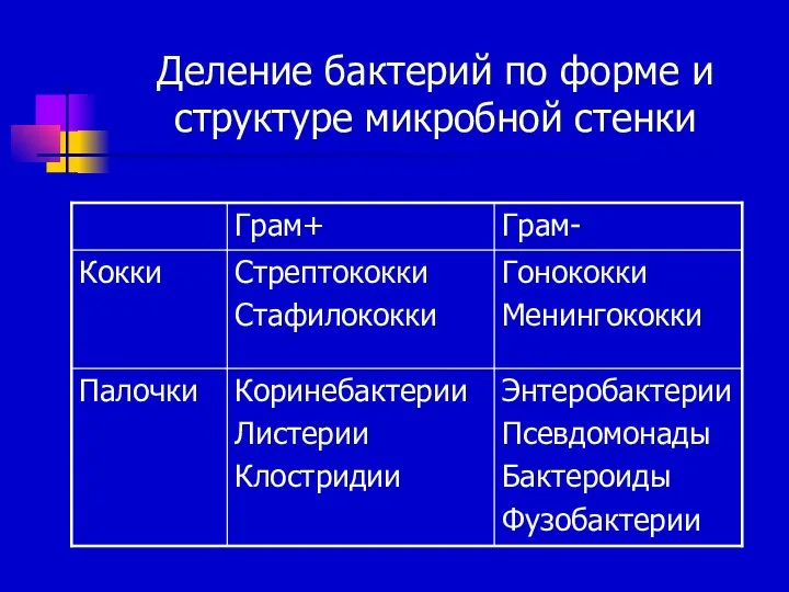 Деление бактерий по форме и структуре микробной стенки