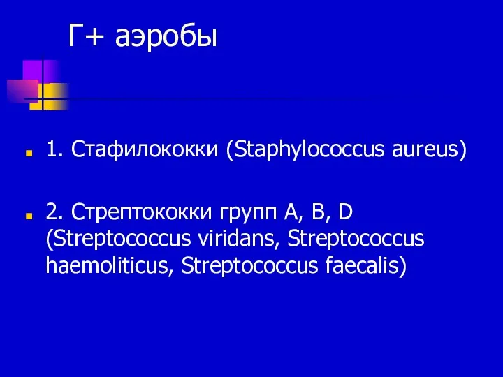 Г+ аэробы 1. Стафилококки (Staphylococcus aureus) 2. Стрептококки групп A,