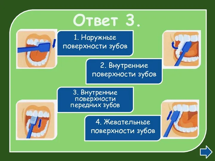 Ответ 3. 1. Наружные поверхности зубов 2. Внутренние поверхности зубов