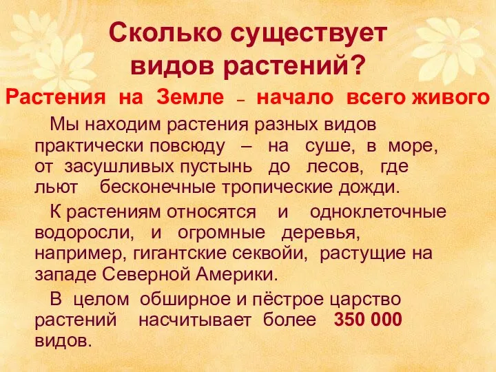 Сколько существует видов растений? Мы находим растения разных видов практически