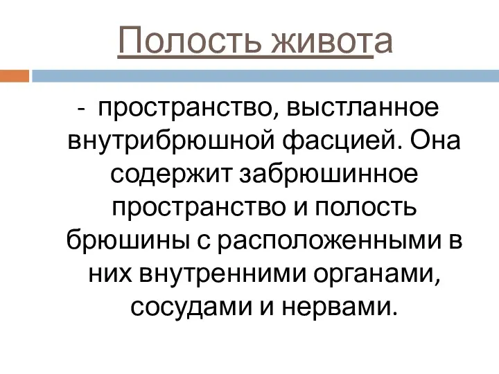 Полость живота - пространство, выстланное внутрибрюшной фасцией. Она содержит забрюшинное