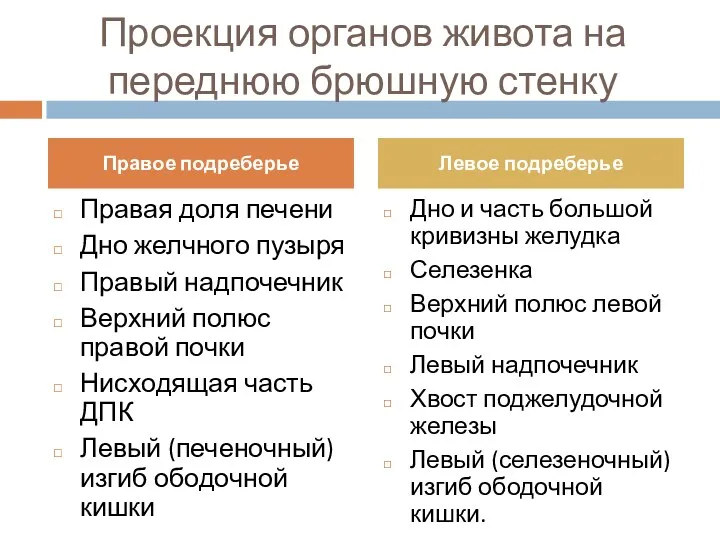 Проекция органов живота на переднюю брюшную стенку Правая доля печени