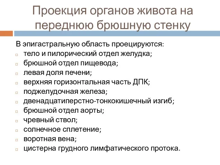 Проекция органов живота на переднюю брюшную стенку В эпигастральную область