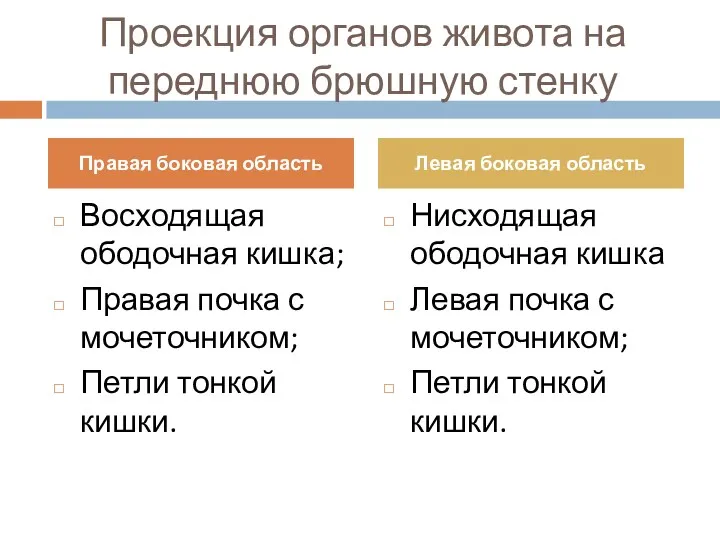 Проекция органов живота на переднюю брюшную стенку Восходящая ободочная кишка;