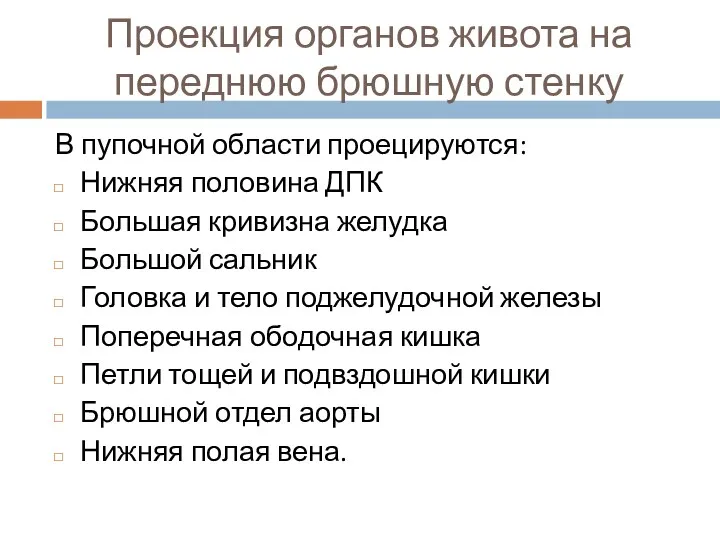 Проекция органов живота на переднюю брюшную стенку В пупочной области