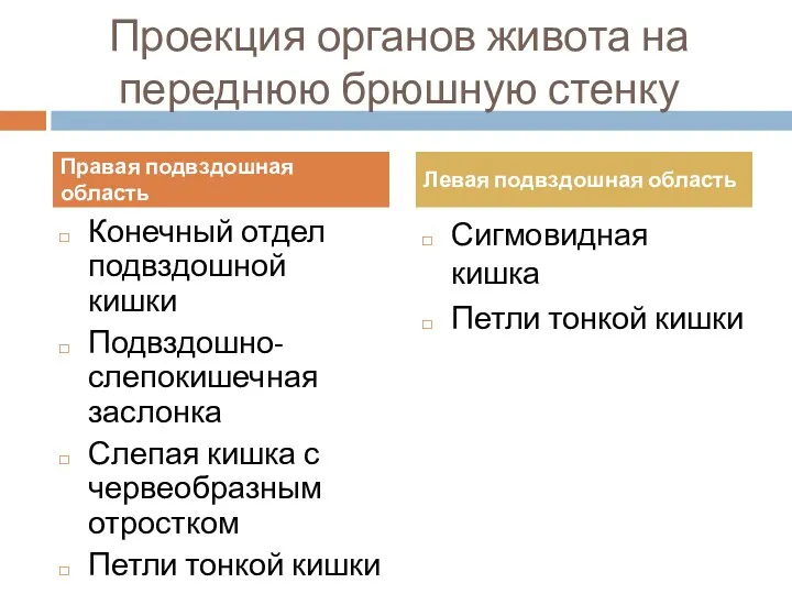 Проекция органов живота на переднюю брюшную стенку Конечный отдел подвздошной