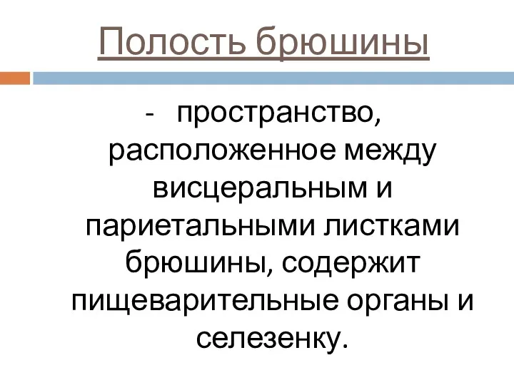 Полость брюшины - пространство, расположенное между висцеральным и париетальными листками брюшины, содержит пищеварительные органы и селезенку.