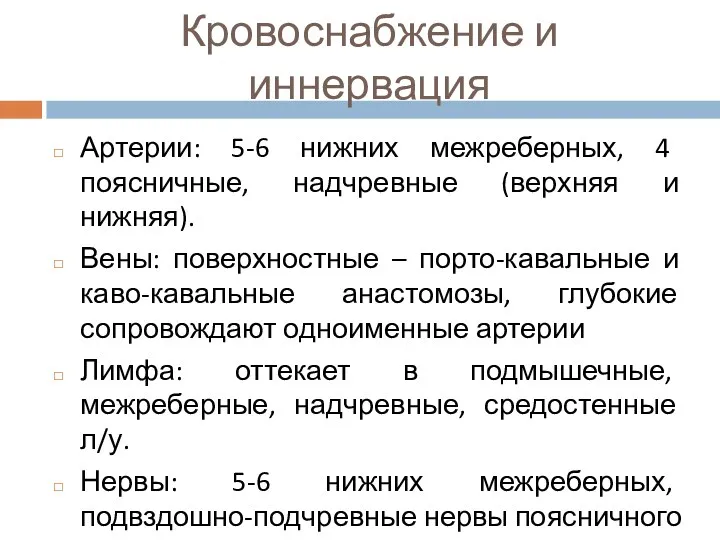 Кровоснабжение и иннервация Артерии: 5-6 нижних межреберных, 4 поясничные, надчревные