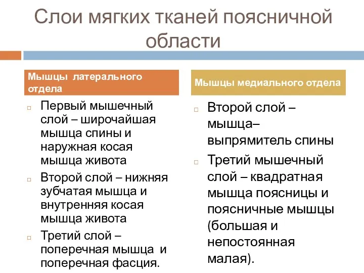 Слои мягких тканей поясничной области Первый мышечный слой – широчайшая