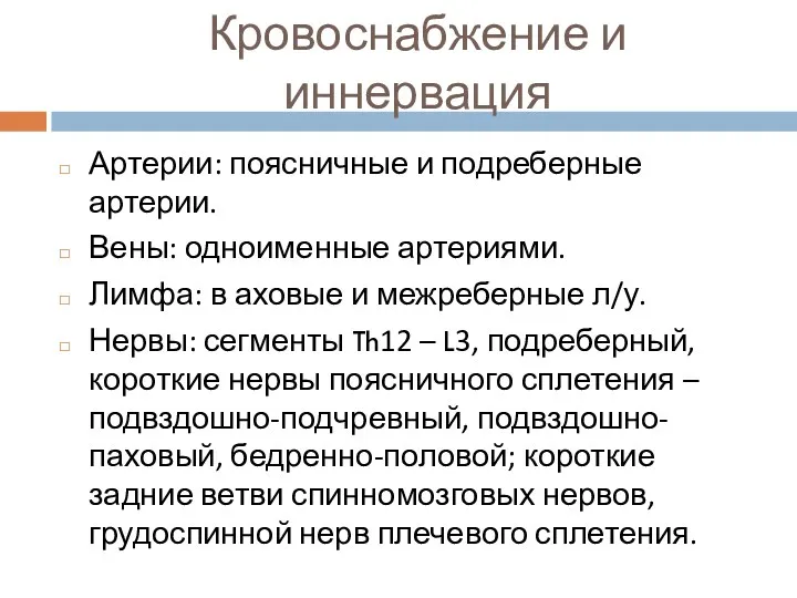 Кровоснабжение и иннервация Артерии: поясничные и подреберные артерии. Вены: одноименные