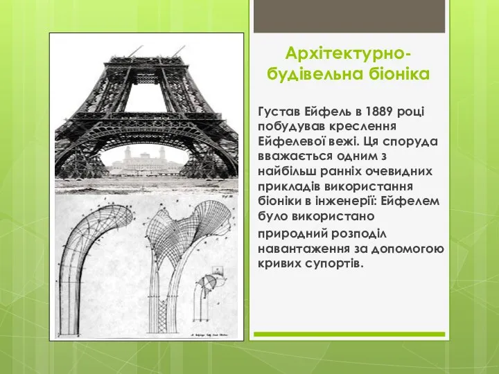 Архітектурно-будівельна біоніка Густав Ейфель в 1889 році побудував креслення Ейфелевої