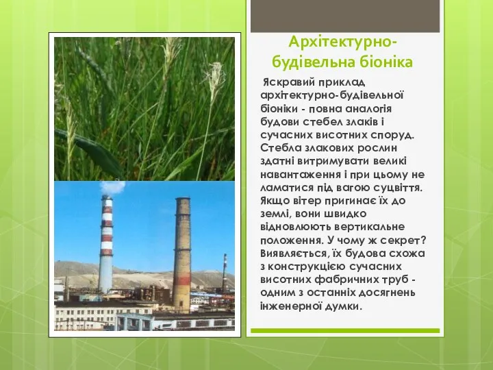 Архітектурно-будівельна біоніка Яскравий приклад архітектурно-будівельної біоніки - повна аналогія будови