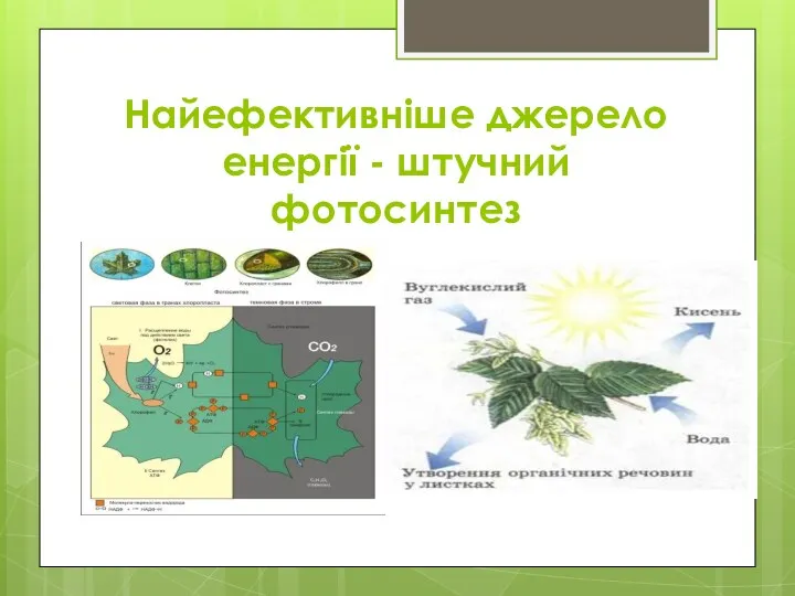 Найефективніше джерело енергії - штучний фотосинтез