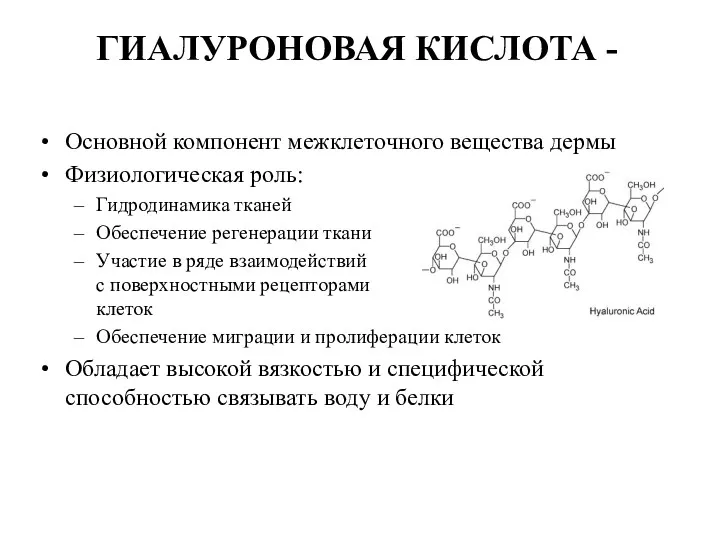 ГИАЛУРОНОВАЯ КИСЛОТА - Основной компонент межклеточного вещества дермы Физиологическая роль: