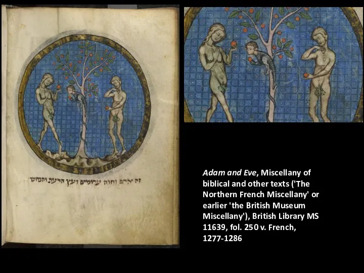 Adam and Eve, Miscellany of biblical and other texts ('The Northern French Miscellany'