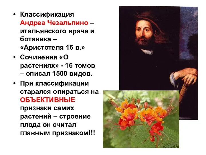 Классификация Андреа Чезальпино – итальянского врача и ботаника – «Аристотеля 16 в.» Сочинения
