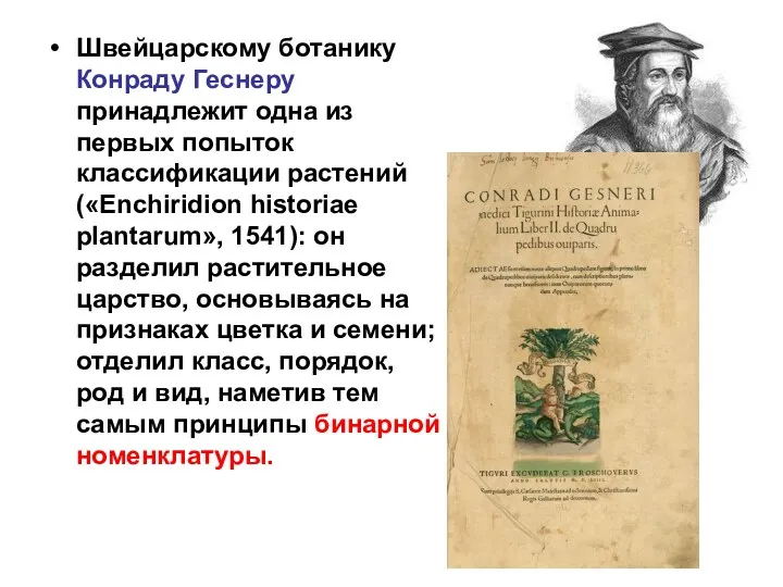 Швейцарскому ботанику Конраду Геснеру принадлежит одна из первых попыток классификации