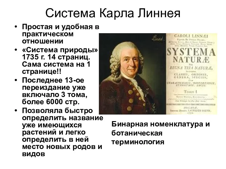 Система Карла Линнея Простая и удобная в практическом отношении «Система природы» 1735 г.