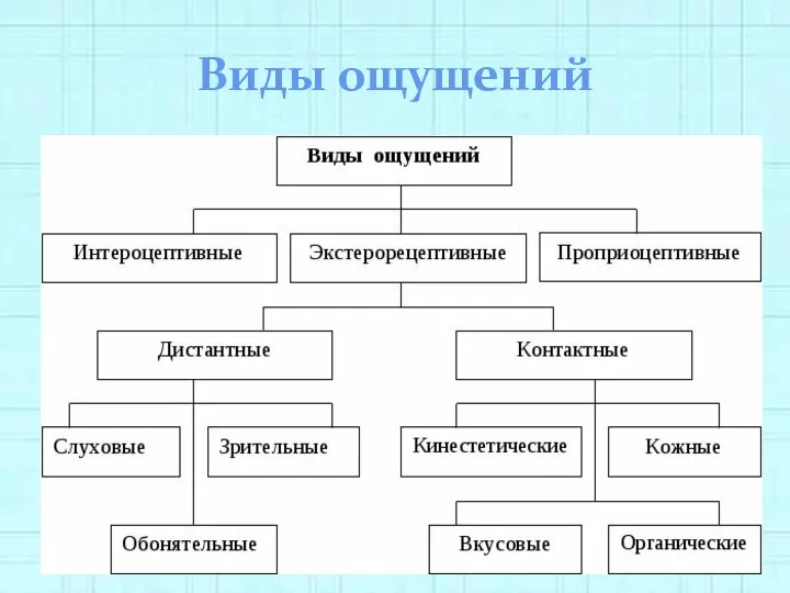 Виды ощущений