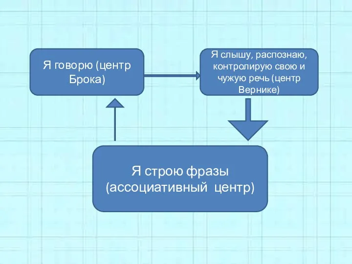 Я говорю (центр Брока) Я строю фразы (ассоциативный центр) Я