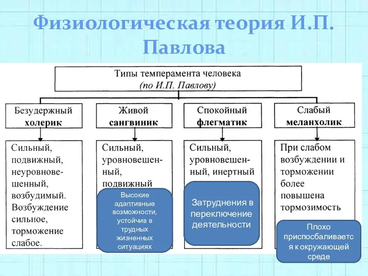 Физиологическая теория И.П. Павлова Затруднения в переключение деятельности Высокие адаптивные