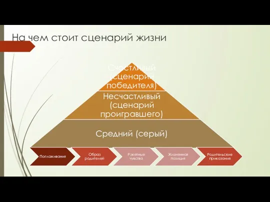 На чем стоит сценарий жизни