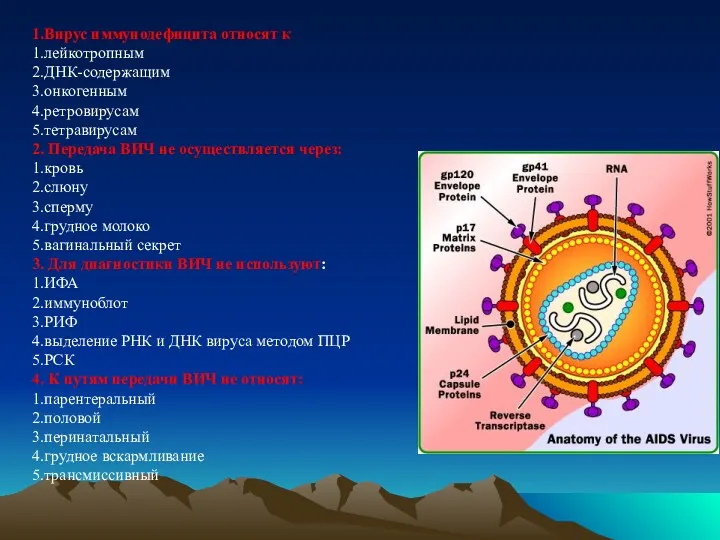 1.Вирус иммунодефицита относят к 1.лейкотропным 2.ДНК-содержащим 3.онкогенным 4.ретровирусам 5.тетравирусам 2. Передача ВИЧ не