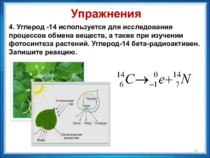 4. Углерод -14 используется для исследования процессов обмена веществ, а