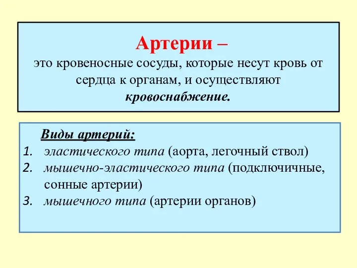 Артерии – это кровеносные сосуды, которые несут кровь от сердца