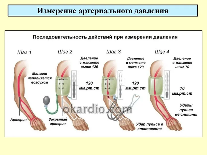 Измерение артериального давления