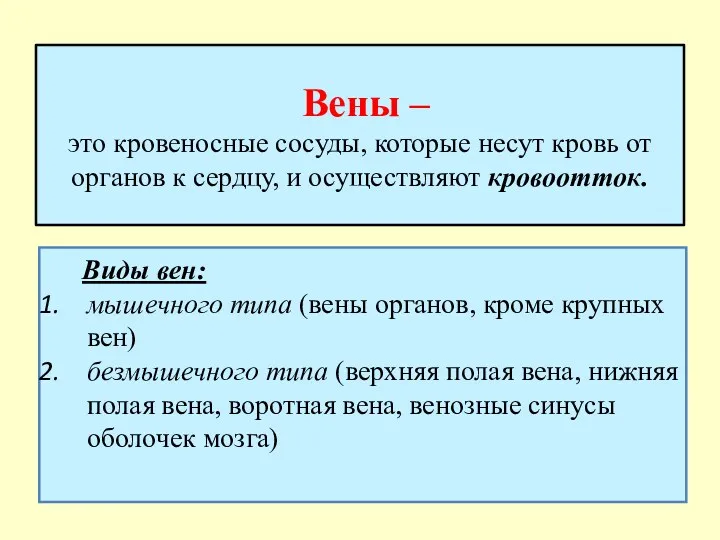 Вены – это кровеносные сосуды, которые несут кровь от органов