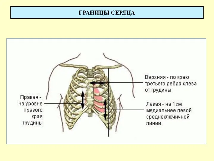 ГРАНИЦЫ СЕРДЦА