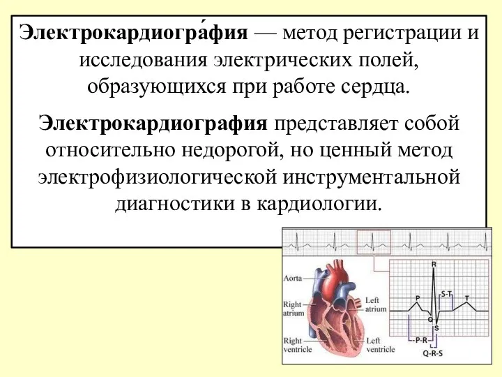 Электрокардиогра́фия — метод регистрации и исследования электрических полей, образующихся при