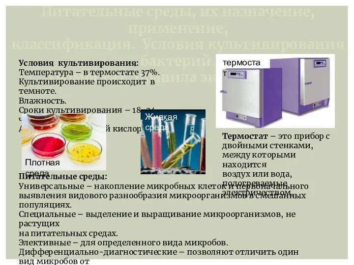 Питательные среды, их назначение, применение, классификация. Условия культивирования бактерий. Термостат,