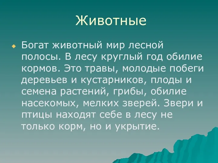 Животные Богат животный мир лесной полосы. В лесу круглый год