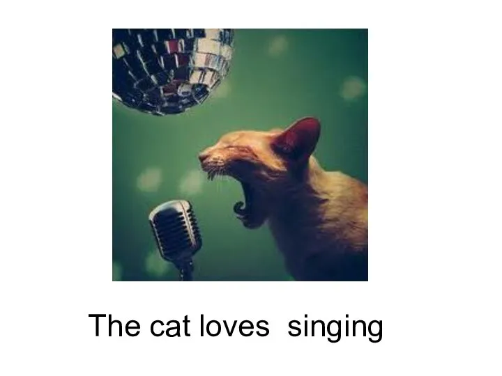 singing The cat loves